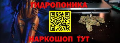 СК Краснокаменск